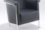 ARC Leather Tub Chair