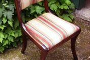 Mahogany Sabre Leg Chairs