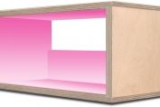 Birch Wood & Soft Pink CD Unit