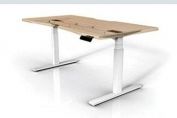 Sit Stand E-desks