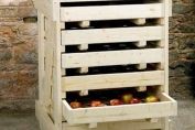 Apple Tray Holder and 6 Trays