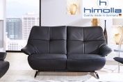 Avant-garde 2 Seat Fixed Sofa