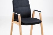 Boardroom and Visitors Chair