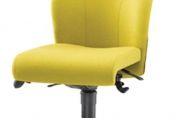 Ethos Medium Back Ergonomic Task Chair