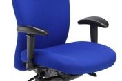 Posturemax 200 Ergonomic 24 Hour Back Care Chair with Headrest