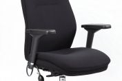 Active Fabric Ergonomic Chair