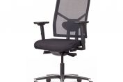 Task Chair