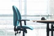 Rose Task Chair