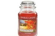 Natures Paintbrush Yankee Candles Large Jars