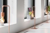 Designed table lamps